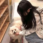 王者勋章之彩虹行动官方版下载