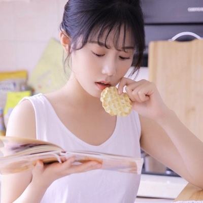 狗狗乐园最新版下载